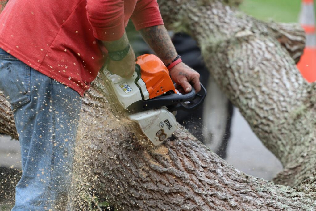 Tree Cutting Service In Imlay City