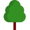 Tree Icon